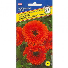 Красная с черным центром 0,3г Ц(П)