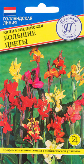 Большие цветы Ц(П)