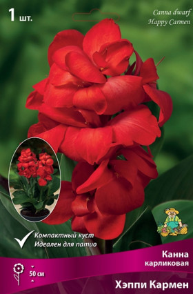 Хэппи Кармен Поиск +