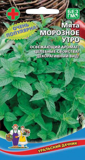 Морозное утро Ц(УД)