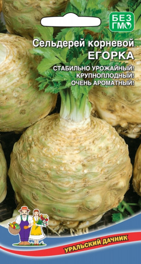 Егорка корневой Ц(УД)