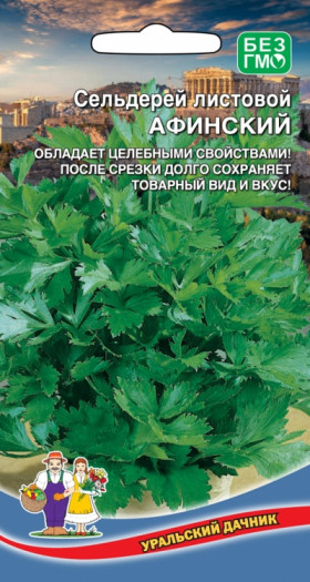 Афинский листовой Ц(УД)