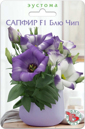 Сапфир Блю Чип горшечная Биотехника