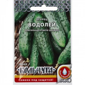 Водолей Кольчуга