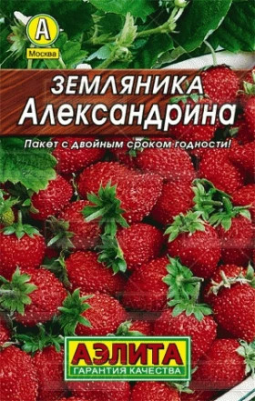 Александрина Лидер