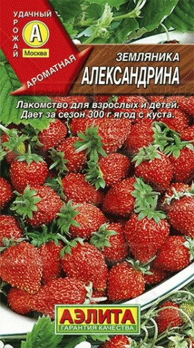 Александрина Ц(А)