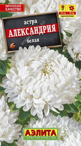 Александрия белая Ц(А)