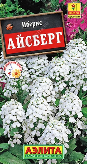 Айсберг Ц(А) иберис
