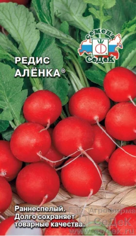 Аленка Ц(С)