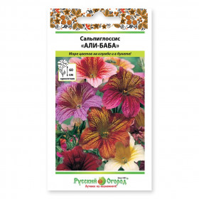 Али-Баба Ц(Н)