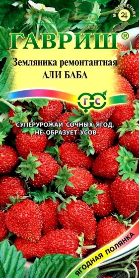 Али-баба Ц(Г)