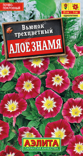 Алое знамя Ц(А)