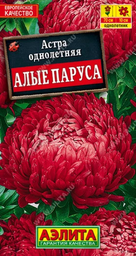 Алые паруса Ц(А)