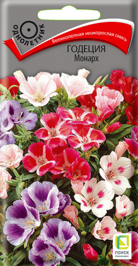 Монарх Ц(Поиск)