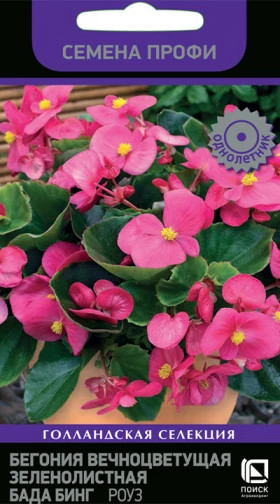 Бада Бинг Роуз Ц(Поиск)