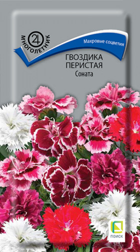 Соната перистая 0,05гр Ц(Поиск)