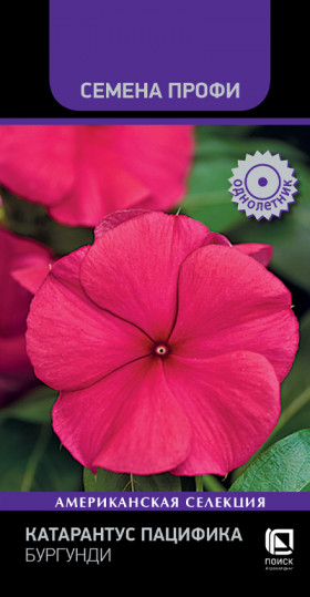 Пацифика Бургунди Ц(Поиск)