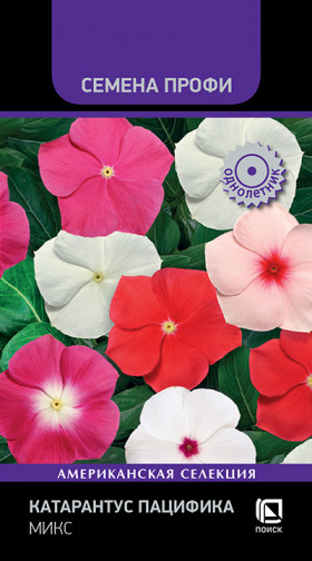 Пацифика Микс Ц(Поиск)