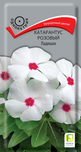 Падишах розовый  Ц(Поиск)