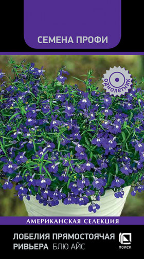 Ривьера Блю Айс Ц(Поиск)