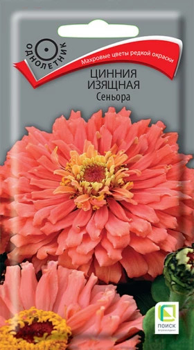 Сеньора изящнная Ц(Поиск)