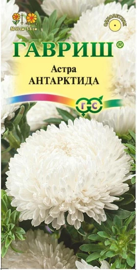 Антарктида белая Ц(Г)