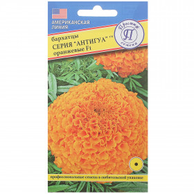 Антигуа Оранжевые Ц(П)