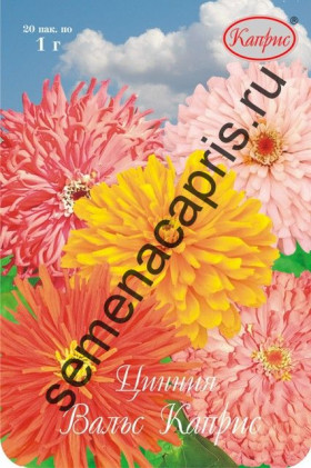 Цинния Вальс смесь Каприс 20*1 гр.