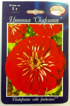 Цинния Скарлет Каприс 20*1 гр.