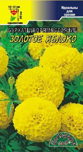 Золотое яблоко/Цветущий Сад