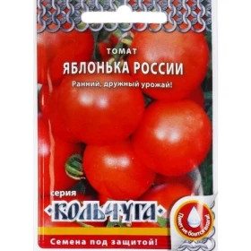 Яблонька России Кольчуга