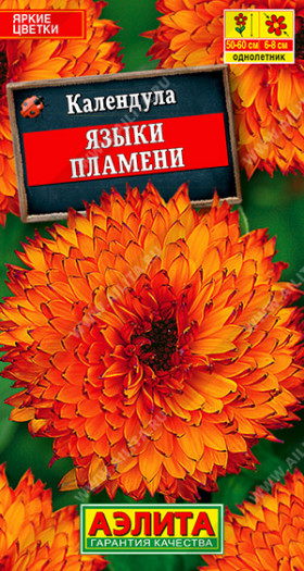 Языки пламени Ц(А)