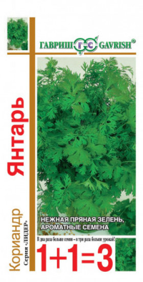 Янтарь 1+1 Ц(Г)