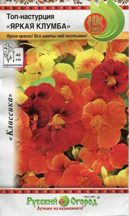 Яркая клумба Ц(Н)