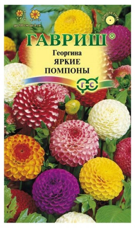 Яркие помпоны Ц(Г)