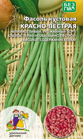 Красно-пестрая кустовая Ц(УД)