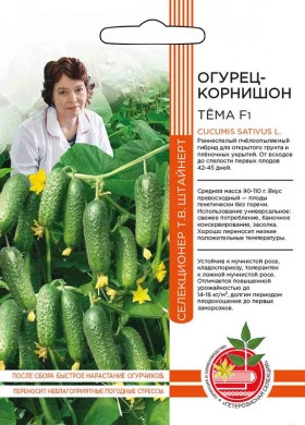 Тема Ц(УД) ШТВ