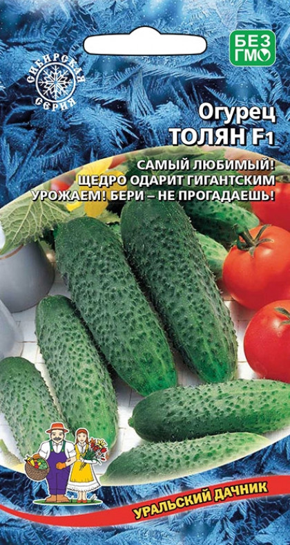 Толян Ц(УД) ШТВ
