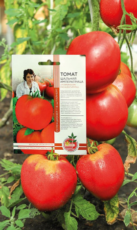 Шальная императрица Ц(УД) ШТВ