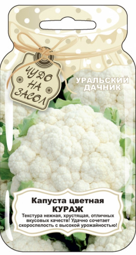 цветная Кураж Ц(УД)