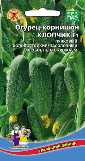 Хлопчик корнишон Ц(УД)