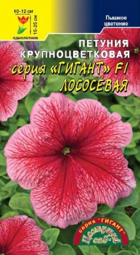 Гигант лососевая/Цветущий Сад