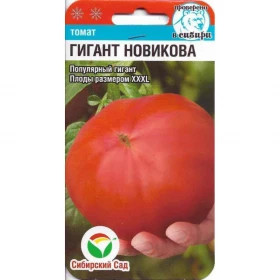 Гигант Новикова СС