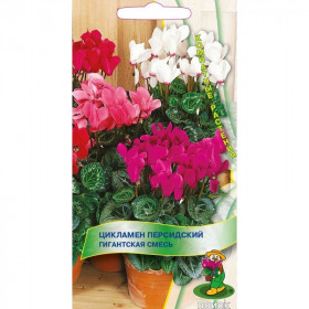 Гигантская смесь Ц(Поиск)