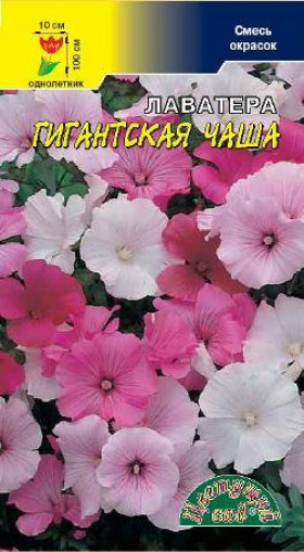 Гигантская чаша смесь/Цветущий Сад