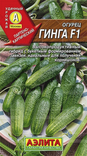 Гинга F1 Ц(А)