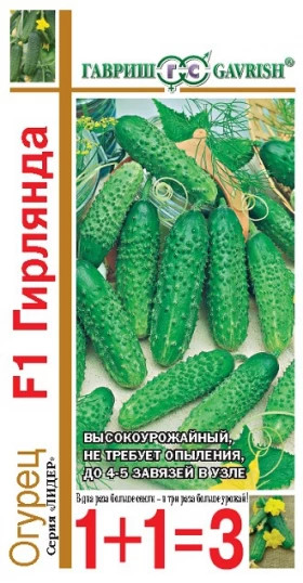 Гирлянда сер.1+1\20шт.Ц(Г)