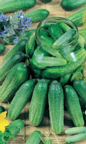 Либелле Ц(УД) +50% бесплатно