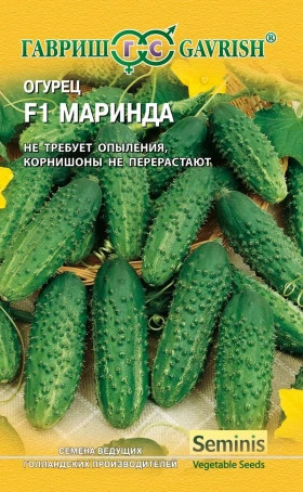Маринда Ц(Г)