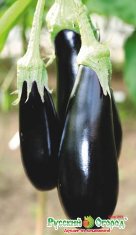 Марципан Ц(Н)